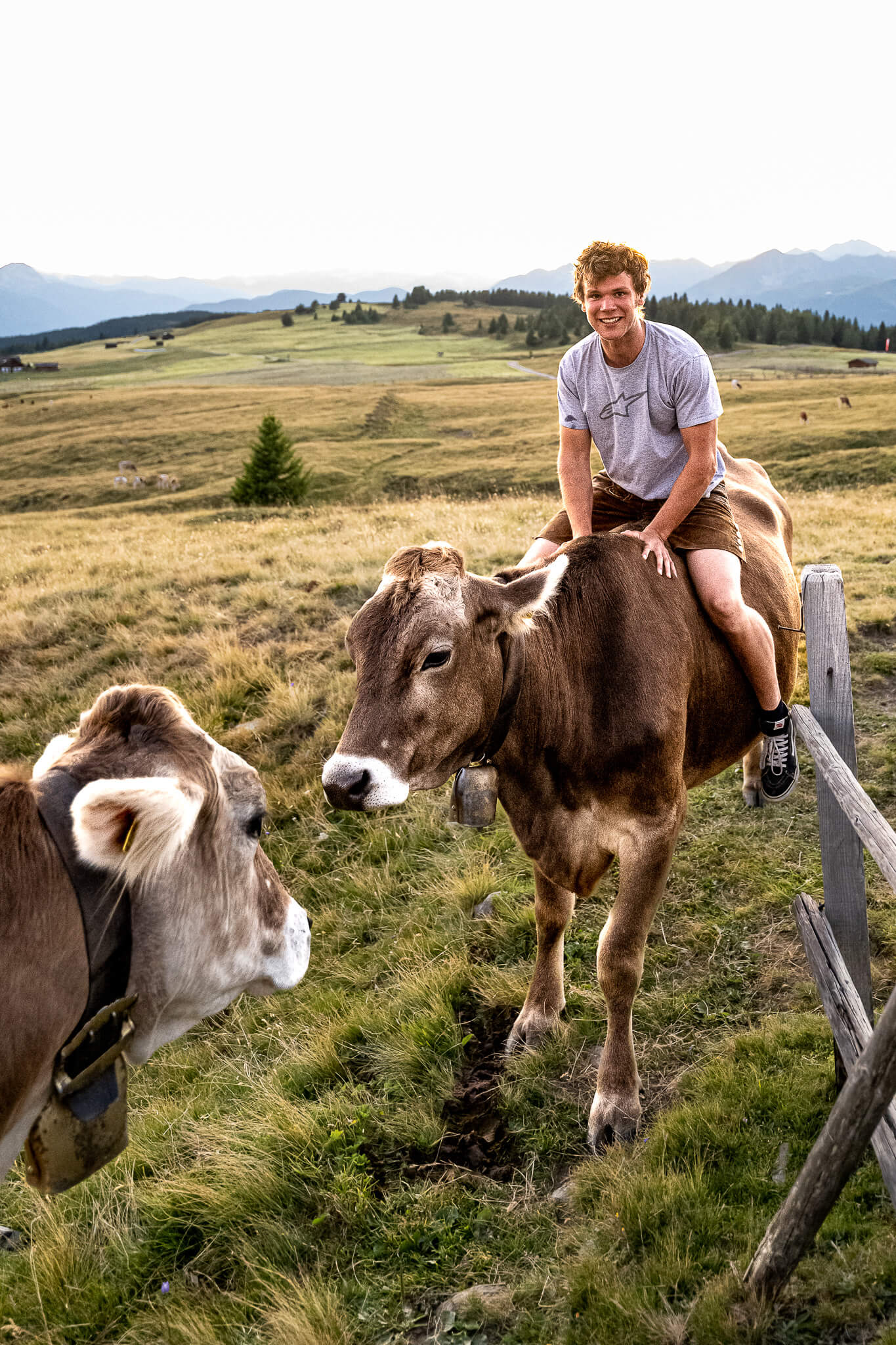 gastgeber starkenfeld alm suedtirol johannes 1