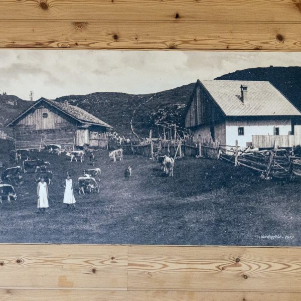 impressionen starkenfelder alm suedtirol dolomiten eisacktal rodeneck 19