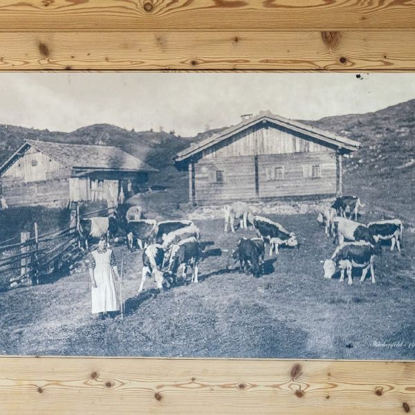 impressionen starkenfelder alm suedtirol dolomiten eisacktal rodeneck 20