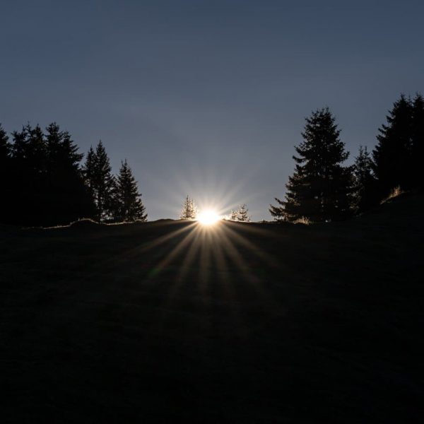 impressionen starkenfelder alm suedtirol dolomiten eisacktal rodeneck 26