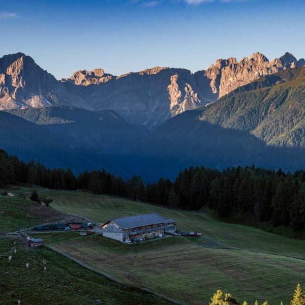 impressionen starkenfelder alm suedtirol dolomiten eisacktal rodeneck 27