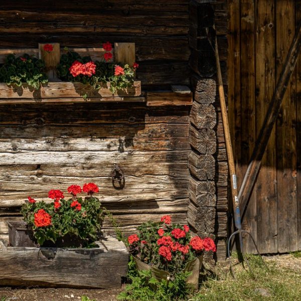 impressionen starkenfelder alm suedtirol dolomiten eisacktal rodeneck 7